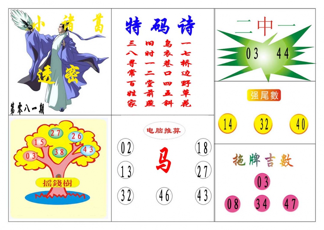 081期小诸葛[图]
